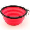 Red basis bowl