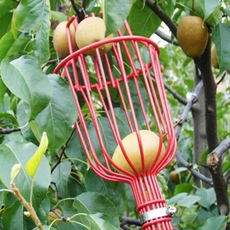 Fruta recogedor cabeza cesta profunda conveniente alta altitud cosechadora telescópica cesta granja jardín recogiendo dispositivo 