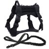 BK Harness and Leash