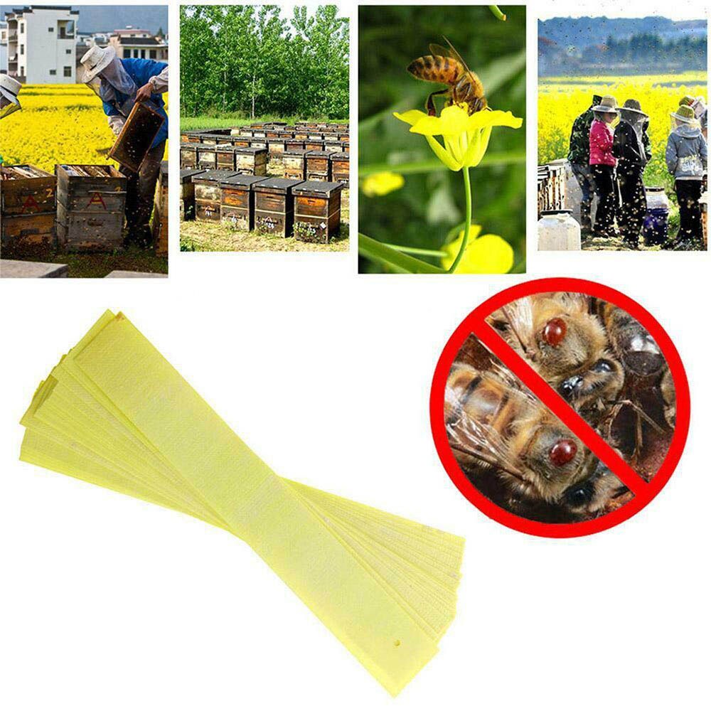 Bee Mite Killer Treatment Tools 20pcs Pack Varroa Strips Beekeeping Pest Control 