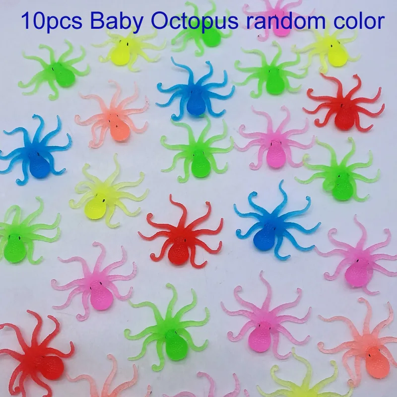 10pcs baby octopus