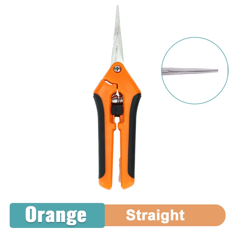 Straight Orange